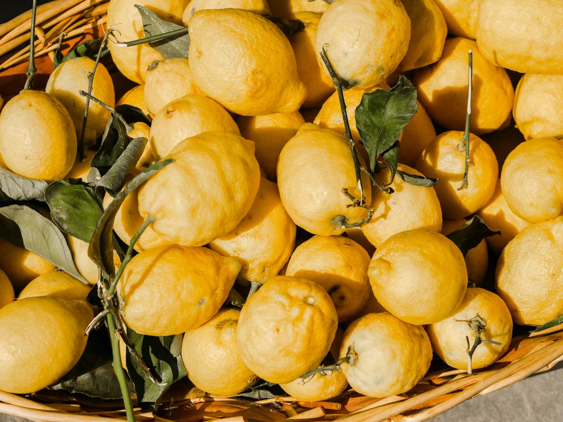 Goleta Lemon Festival