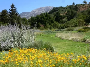 Santa Barbara Botanic Garden