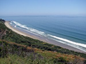 Rincon Beach California